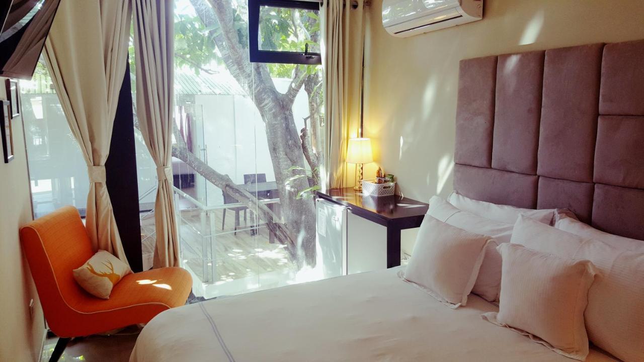 סן פרננדו דה מונטה כריסטי Hotel Santa Clara מראה חיצוני תמונה